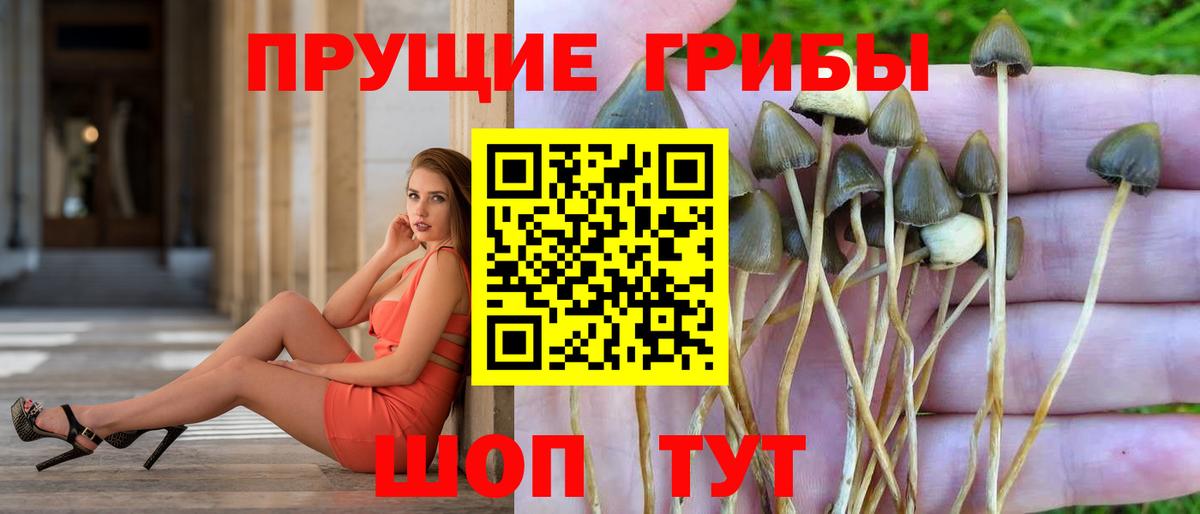 дарнет шоп  Вход с VPN  Урюпинск  Псилоцибиновые грибы GOLDEN TEACHER 