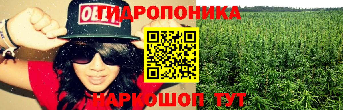Каннабис конопля  Бошки Шишки OG Kush  Конопля OG Kush  Урюпинск  Вход с VPN 